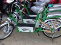 Mini Li-ion battery electric vehicle 36V bike