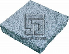 Paving Stone