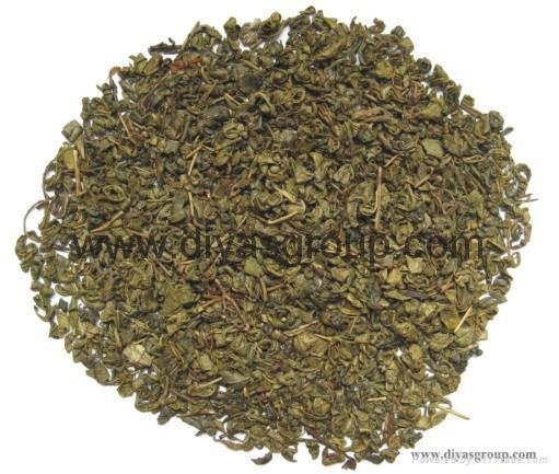 gunpowder green tea 9375 3