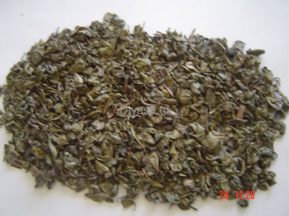 gunpowder green tea 9375 4