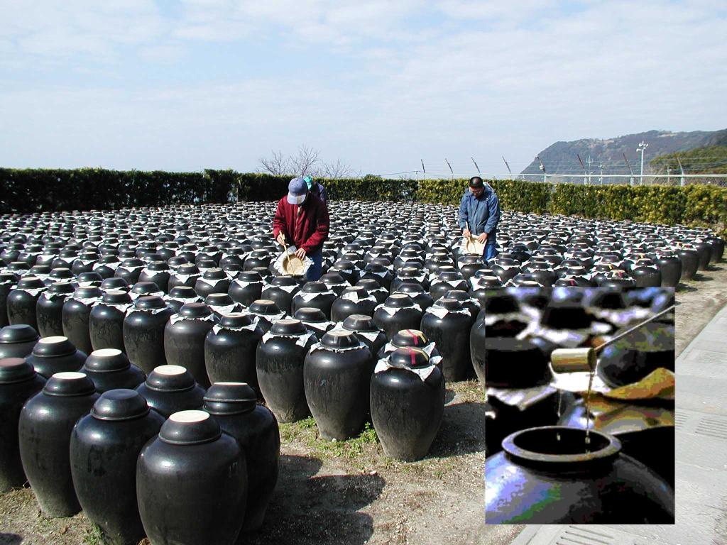 Garlic Kurozu Capsule (Garlic Black Vinegar Capsule) LSJ (Hong Kong