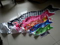 Japanese carp flag  ， carp streamer 1