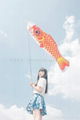 Japanese carp flag  ， carp streamer 5