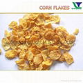 snacks food machine--CORN FLAKES (BREAKFAST CEREALS) PROCESS LINE 