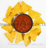 Snacks Food Machine: Tortilla/Doritos Chip Processing Line