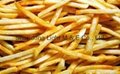 French fries food machine