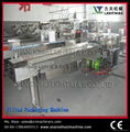 Horizontal packing machine