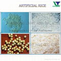 Reconstitured Rice Processing Line