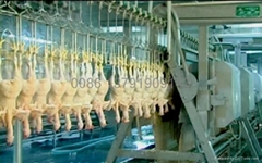 Halal Chicken Slaughter Machine 