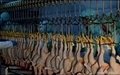 Halal Chicken Slaughter Machine  Production Line