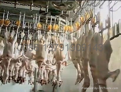 CHICKEN ABATTOIR EQUIPMENT