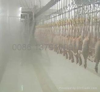 Poultry Abattoir Equipment Line in China