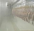 Poultry Abattoir Equipment Line in China 1