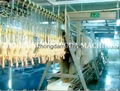 Halal Chicken Slaughter Machine  Production Line 2