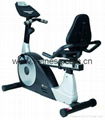 recumbent bike 2