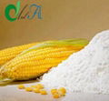 Corn Starch, Maize Starch, Modified Starch