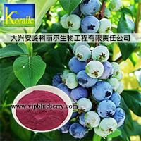 藍莓果粉