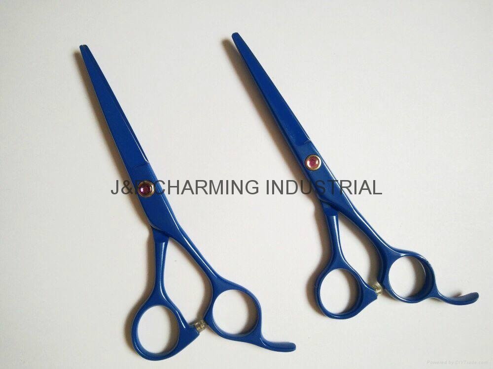 Professional Hair scissors,hair cutter,Barber shears 5.5'',6'',6.5'',any size 3