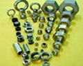 Titanium fastener and titanium nut and titanium bolt and titanium screw