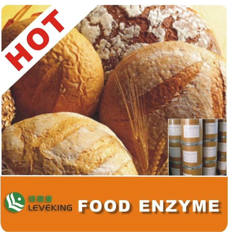 Lipase Bakery enzymes for Bread Improver LBKBX300 Leveking (China