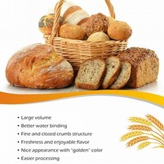 Lipase Enzyme for Flour Bread Improver