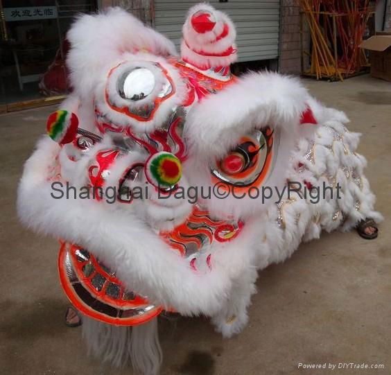 Lion Dance Costume 2