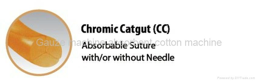 Absorbable suture-Chromic catgut