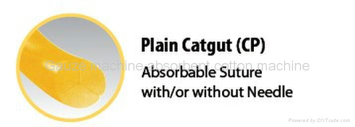 Absorbable suture-plain catgut