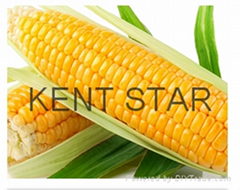 Agri-Products (Corn)