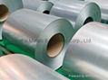 Galvanized Steel Coils 1