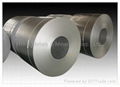 Galvanized  steel coils