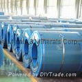 PPGI Steel coil