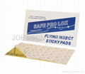 Flying Insect Trap Glue Pads 1