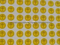PVC Self-adhesive Label Grounding Sticker Earthing Tags Print Yellow Black word 3