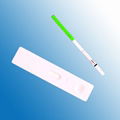 hCG Pregnancy Urine Test (hCG) 4