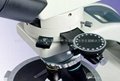 SMZ-168 Stereo Microscope 