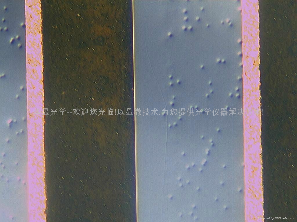 微分干涉DIC显微镜 2