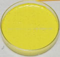 NPC-301 HR Lemon Yellow