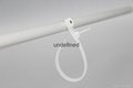 Mountable Head  Cable Tie (UL ROHS TUV SGS approved) 3