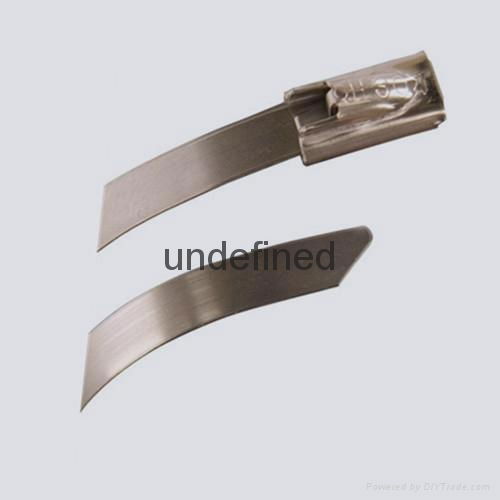 Stainless Steel Cable Ties 2