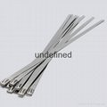 Stainless Steel Cable Ties 4