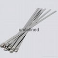 Stainless Steel Cable Ties