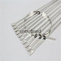 Stainless Steel Cable Ties