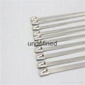 Stainless Steel Cable Ties 5