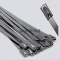 Stainless Steel Cable Ties 1