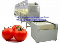 15kw Continuous Tunnel Microwave Sterilizing and Drying Machine for Food