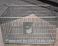 Netting Chest