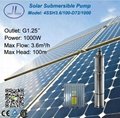 4in Helical Rotor Submersible Solar DC Pump