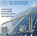 4in Stainless Steel Submersible Solar DC Pump