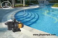 500W Solar Power Pool Pump